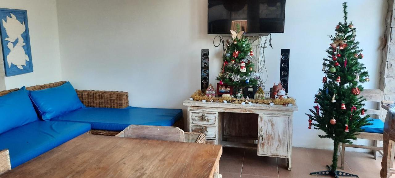 Turtle Island Homestay سانور المظهر الخارجي الصورة