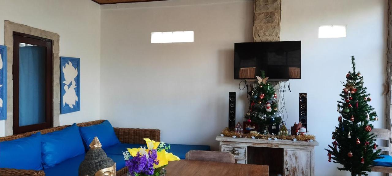 Turtle Island Homestay سانور المظهر الخارجي الصورة
