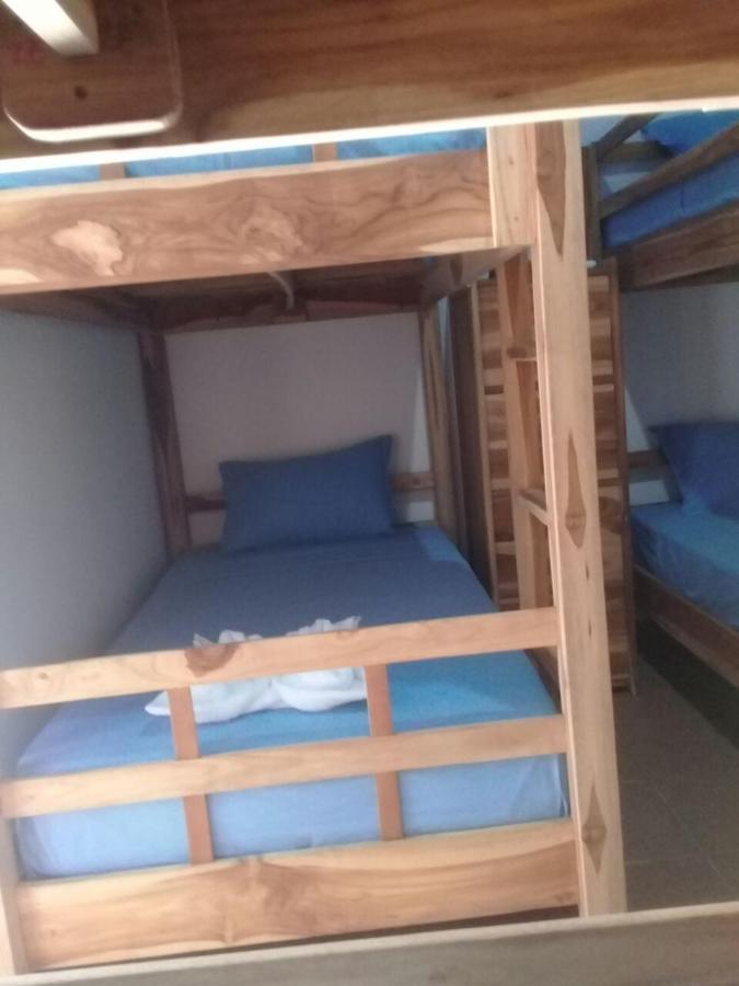 Turtle Island Homestay سانور المظهر الخارجي الصورة