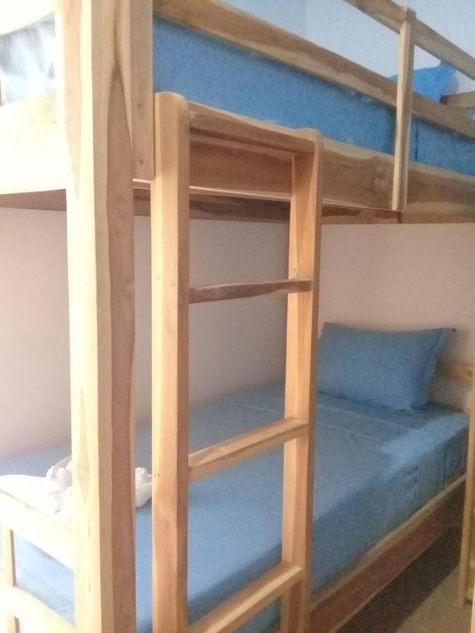 Turtle Island Homestay سانور المظهر الخارجي الصورة