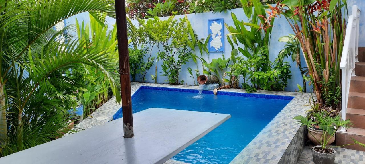 Turtle Island Homestay سانور المظهر الخارجي الصورة