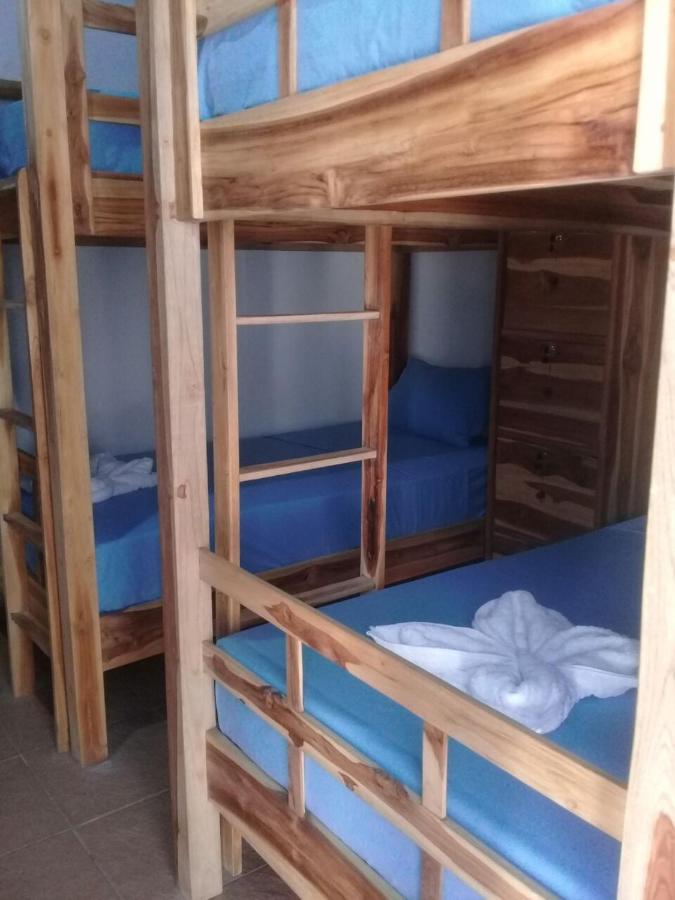 Turtle Island Homestay سانور المظهر الخارجي الصورة