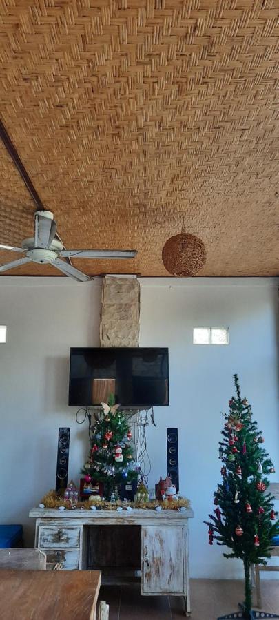 Turtle Island Homestay سانور المظهر الخارجي الصورة