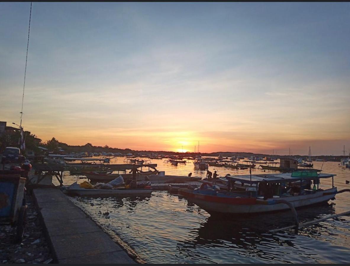 Turtle Island Homestay سانور المظهر الخارجي الصورة